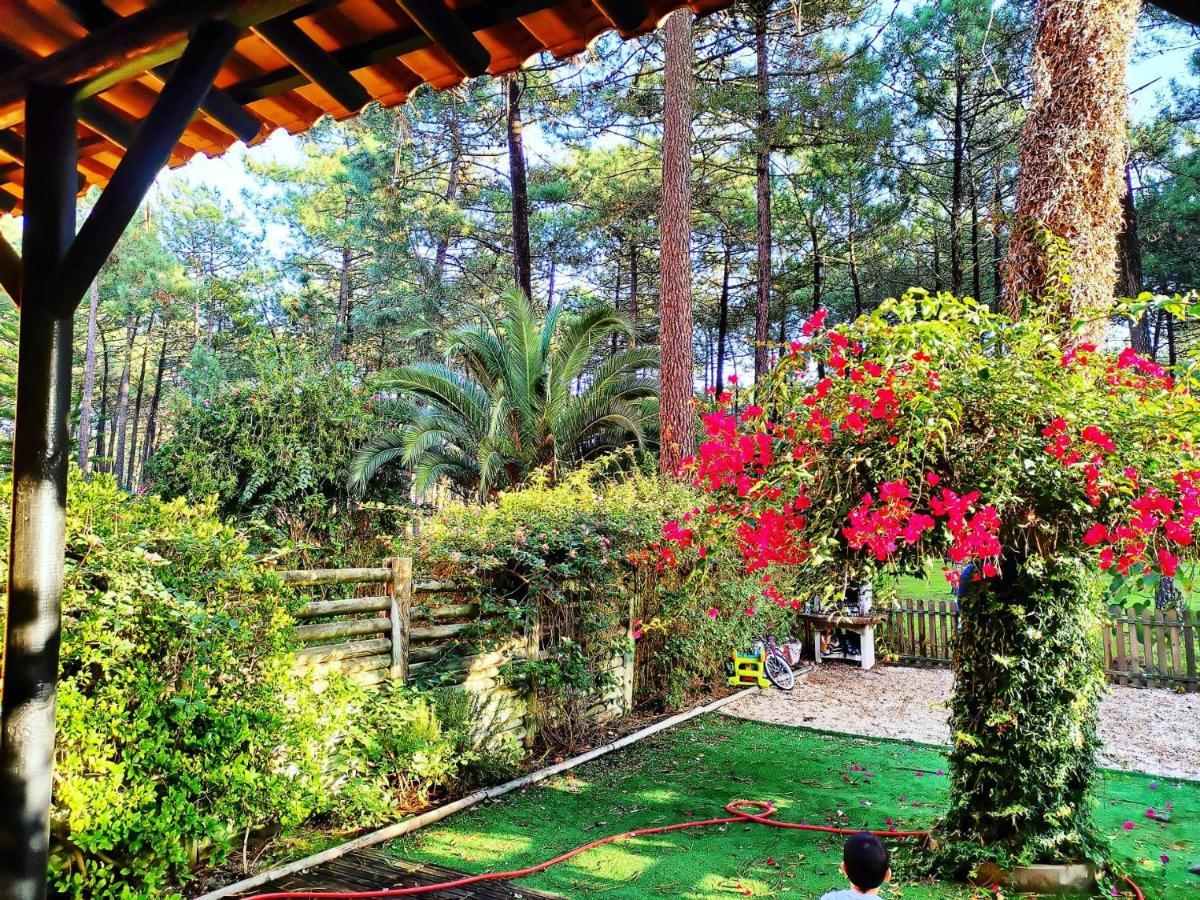 Dolphin Aroeira Beach Villa Charneca  Exterior photo